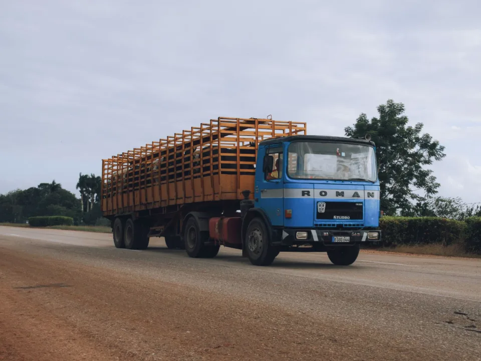 Tài xế của hộ